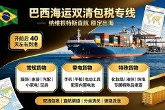 巴西跨境电商物流参考：兆源供应链海运DDP与特货专线