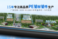 2026年中国PE管道系统综合实力品牌
