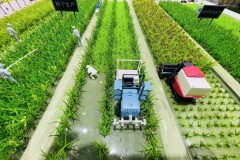 高拟真地产沙盘：匠心工艺如何重塑售楼价值