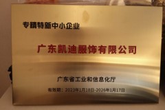 新世家族：重新定义家居服边界的多品牌战略实践