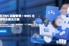 金腾科技：TMS+WMS一体化拆解物流数据孤岛难题