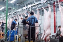 2026年度国内屠宰设备技术创新品牌