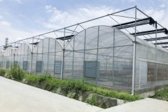 水肥一体化助力成都蔬菜种植降本增效