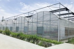 成都智慧农业项目申报解析：温室大棚在智慧农业项目中的技术标准与配置