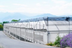 温室骨架材料测评：热镀锌钢管与普通钢管解析