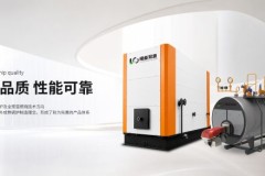 湖北锅炉厂家参考：绿能双源全预混免检技术解析