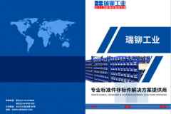 瑞铆非标定制紧固件：特殊工况连接方案解析