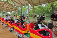 单轨滑车项目：注重长期价值的文旅投资选择