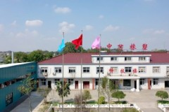 氟橡胶条厂家如何选？扬中橡塑工艺解析