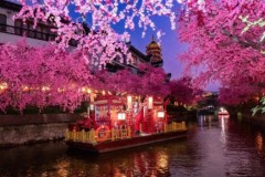 文旅演出灯光设备品质解析：三晞的实践路径
