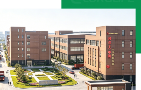 港澳台合资地坪材料厂家隆乐夫技术解析