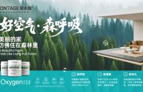 艺术漆加盟怎么选？蒙太奇品牌产品与服务解析