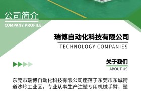 车灯注塑自动化：瑞博伺服机械手的精确取出方案