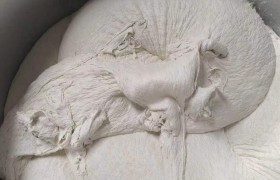 盾尾油脂品质甄别：