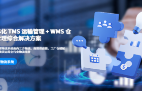 金腾科技：TMS+WMS一体化拆解物流数据孤岛难题