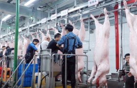 2026年度国内屠宰设备技术创新品牌