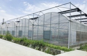 水肥一体化助力成都蔬菜种植降本增效