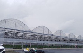成都育苗选温室：连栋与日光型对比分析