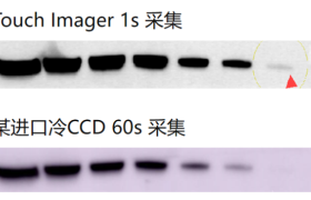 聚焦蛋白检测成像效率：易孛特Touch Imager的技术路径解析