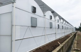 四川温室大棚选型指南：薄膜、连栋、日光温室对比