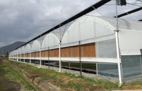 兴隆科技温室工程改造产品及服务介绍