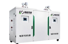 武汉电蒸汽发生器选型指南：绿能双源以技术实力适配多场景清洁用