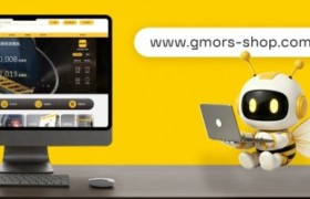 仪器仪表O形圈选型指南：GMORS小觅封一体化采购解析