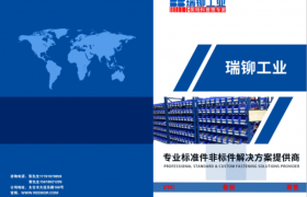 瑞铆非标定制紧固件：特殊工况连接方案解析