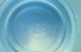 水性离型新选，楚鹰离型剂书写印刷两相宜