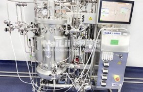 配料系统自动化升级：耐利工艺装备一体化实践