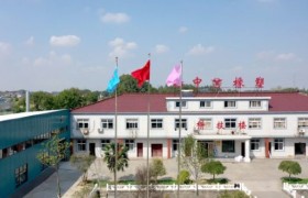 氟橡胶条厂家如何选？扬中橡塑工艺解析