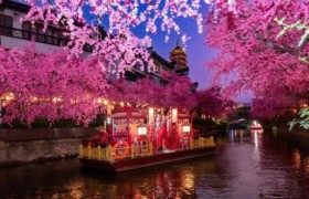 文旅演出灯光设备品质解析：三晞的实践路径